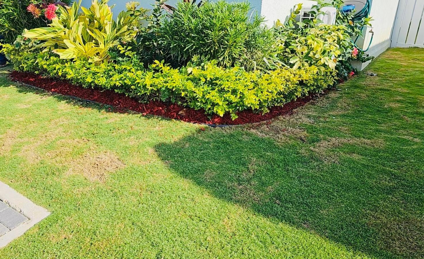 Paradise Oasis At Oceanpointe - Pool And Free Parking Lucea Exterior photo